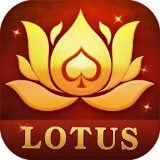 teen patti rico customer care number download